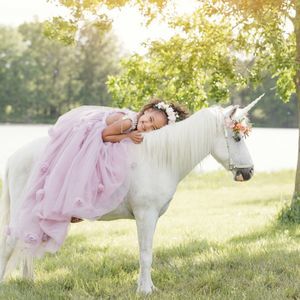 Meet your Posher, Andre